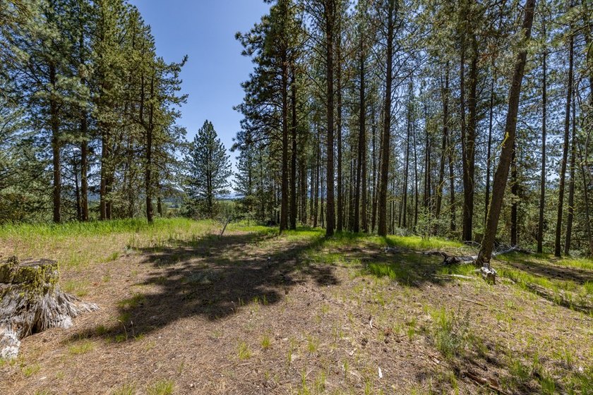 Valley View Lot on Huckleberry Place! Seller financing available - photo 3