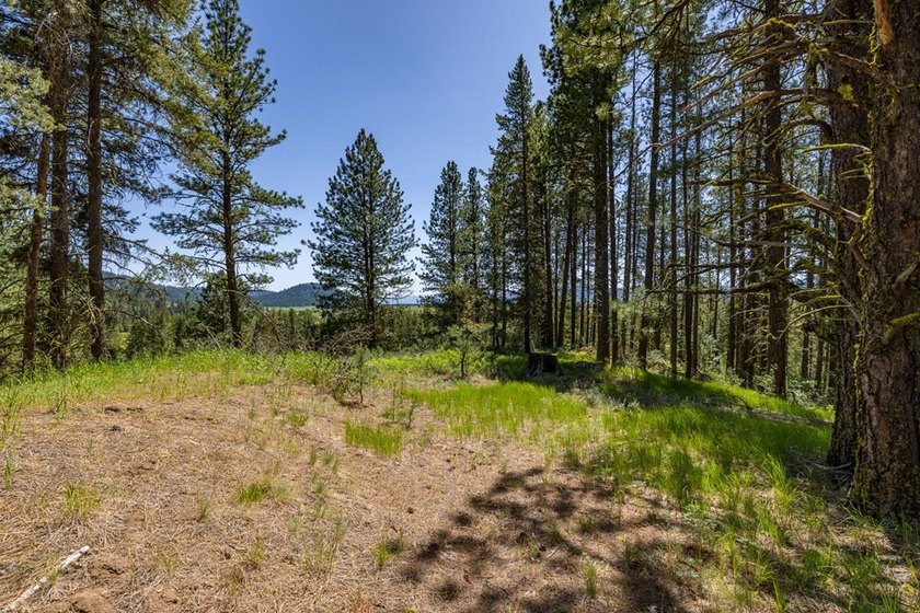 Valley View Lot on Huckleberry Place! Seller financing available - photo 4