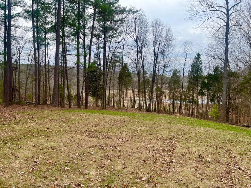 Beautiful Waterfront Lot in Marina Point Subdivision - photo 14