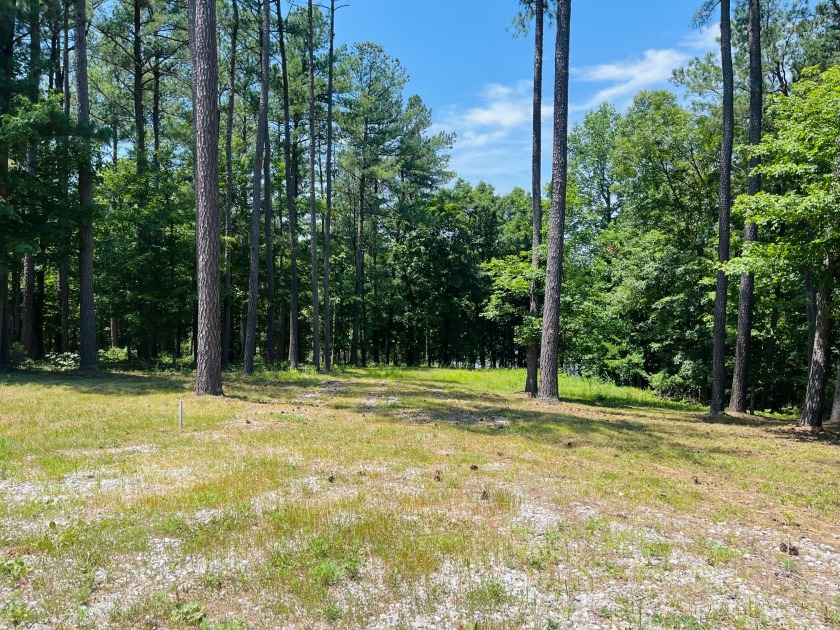 Beautiful Waterfront Lot in Marina Point Subdivision - photo 3