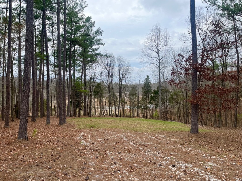 Beautiful Waterfront Lot in Marina Point Subdivision - photo 6