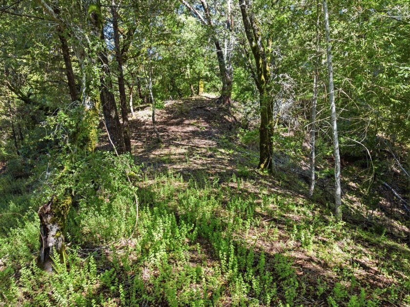 Tucked away in the peaceful redwoods of Boulder Creek, 360 - photo 3