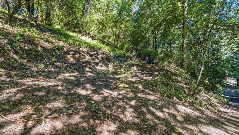 Tucked away in the peaceful redwoods of Boulder Creek, 360 - photo 7