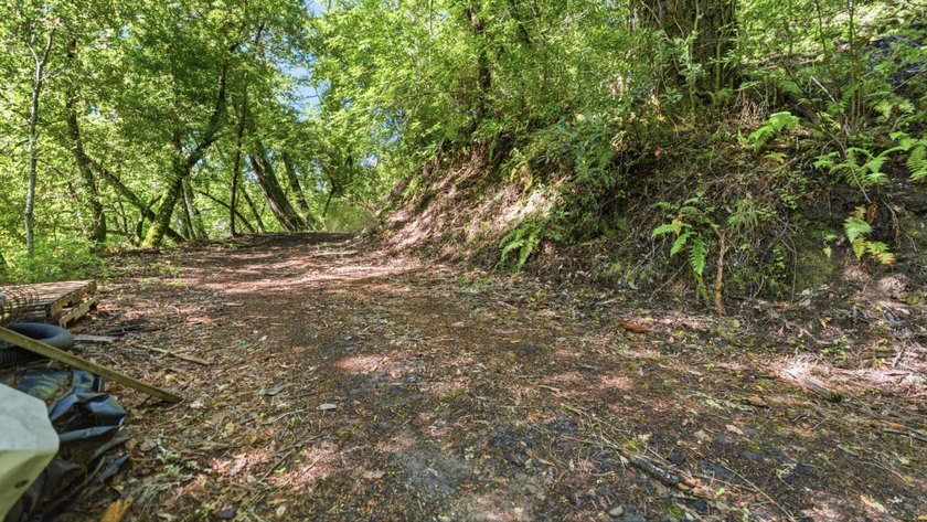 Tucked away in the peaceful redwoods of Boulder Creek, 360 - photo 8