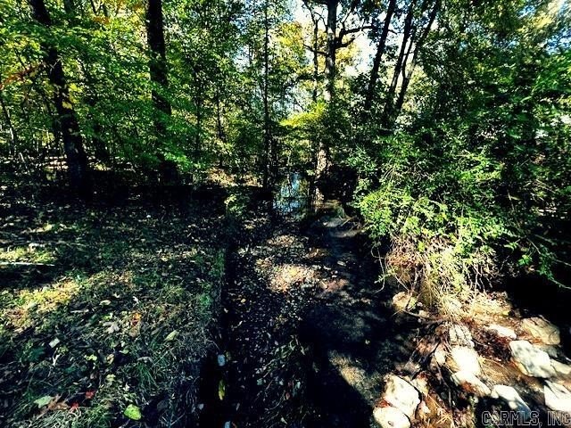 Almost 2 acres in LHSD! Excellent Income Producing with room to - photo 10