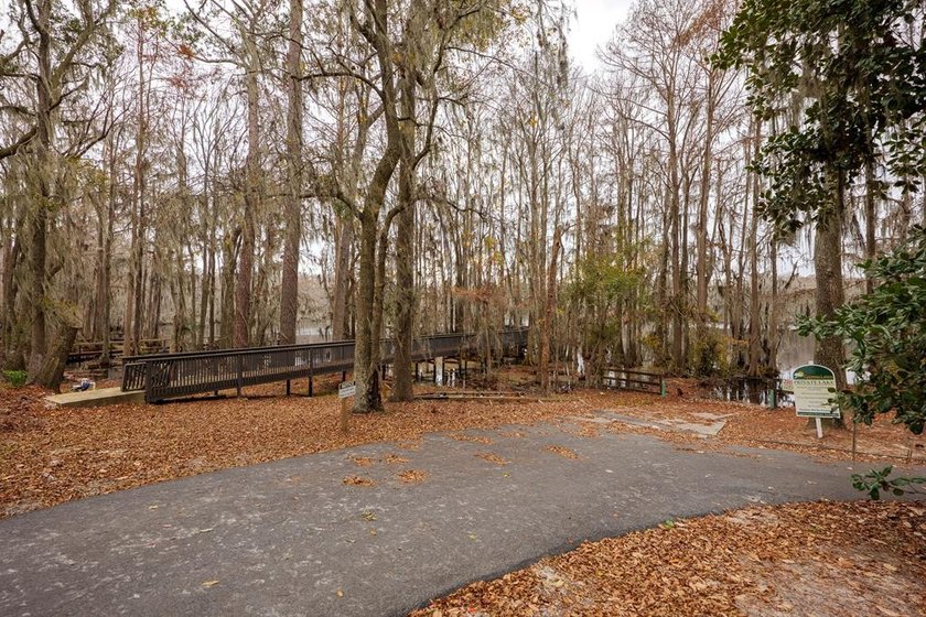 Located on a quiet cul-de-sac in the desirable Cypress Lakes - photo 48