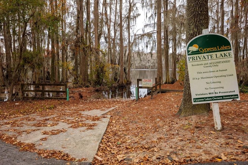 Located on a quiet cul-de-sac in the desirable Cypress Lakes - photo 49