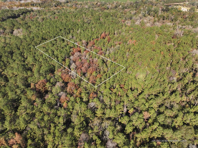 1.08 MOL AC Old HWY 24 Parcel 27 - photo 2