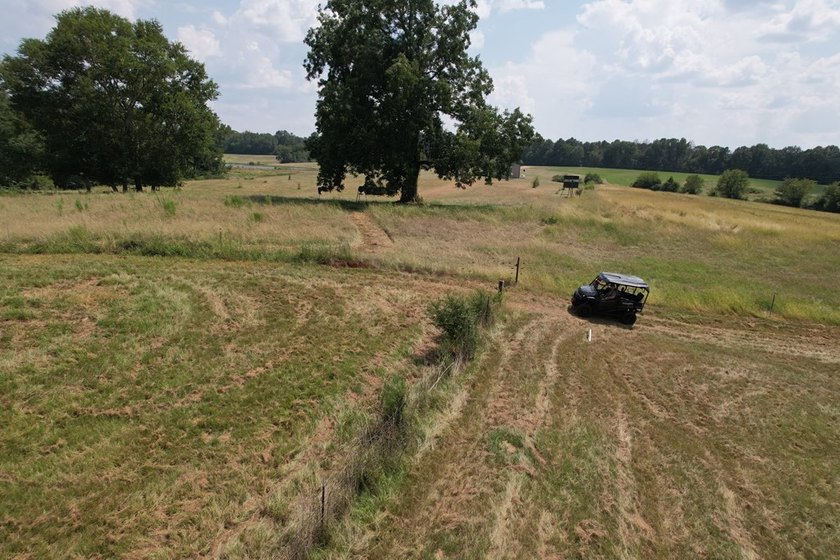 This 44.19 acres offers pretty, open pasture land with gently - photo 6