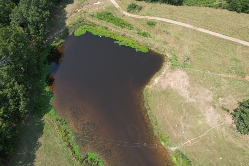 This 44.19 acres offers pretty, open pasture land with gently - photo 10