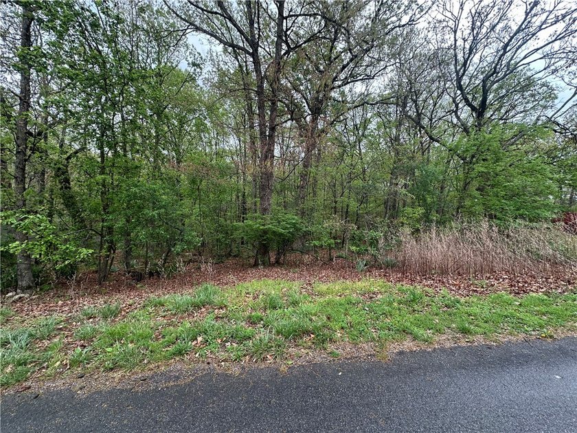 Build your dream home on this exceptional lot featuring SEWER - photo 2
