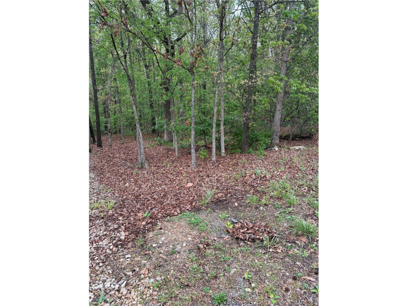 Build your dream home on this exceptional lot featuring SEWER - photo 4