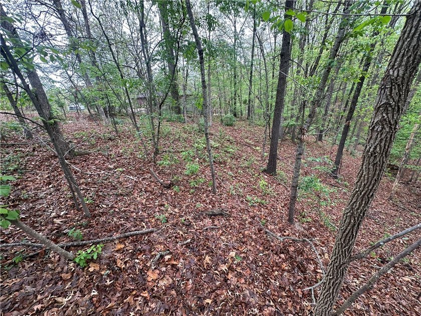 Build your dream home on this exceptional lot featuring SEWER - photo 5