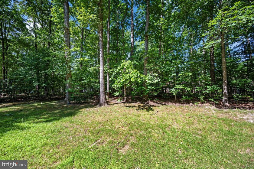Nestled among mature green trees in the gated Lake of the Woods - photo 36