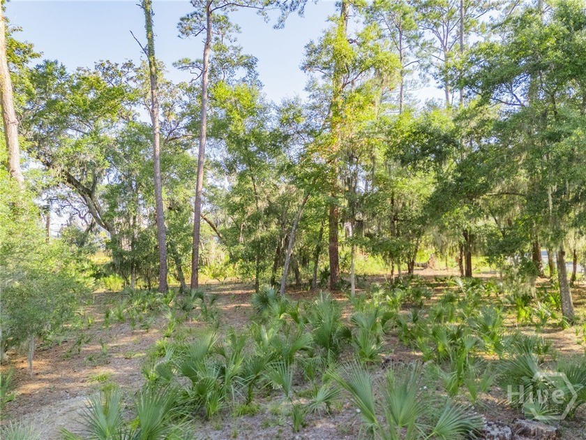 Create your ideal coastal retreat on this .42 acre homesite in - photo 6
