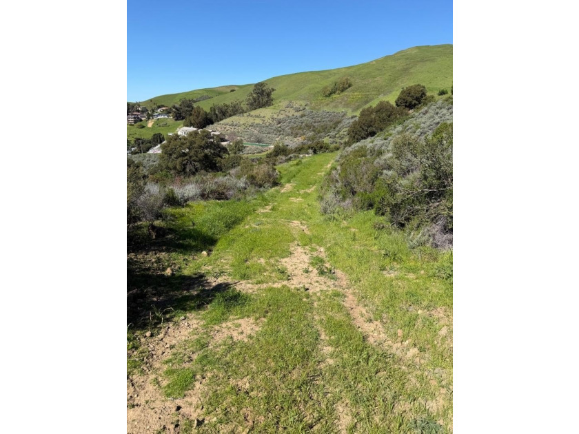 An extraordinary and irreplaceable offering 31 plus acres of - photo 15