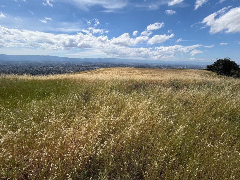 An extraordinary and irreplaceable offering 31 plus acres of - photo 21