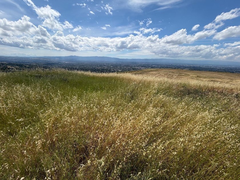 An extraordinary and irreplaceable offering 31 plus acres of - photo 22