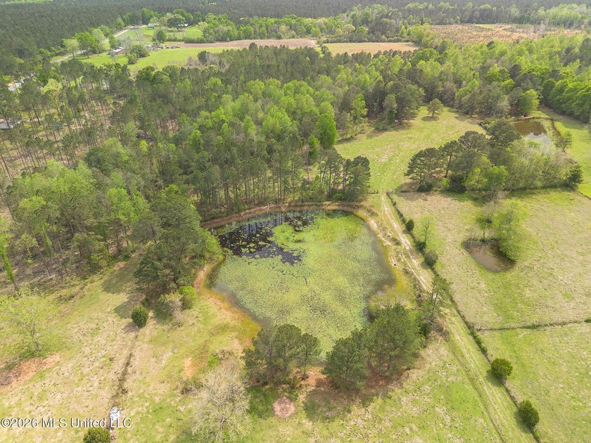 BACK ON THE MARKET! Here is your chance to capture this charming - photo 9