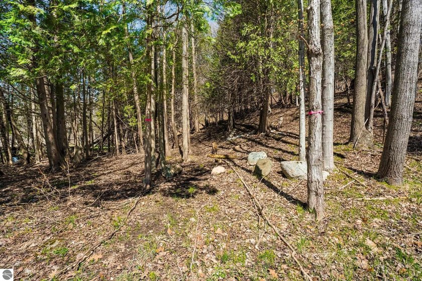 Among the trees just minutes from downtown Boyne City and the - photo 8