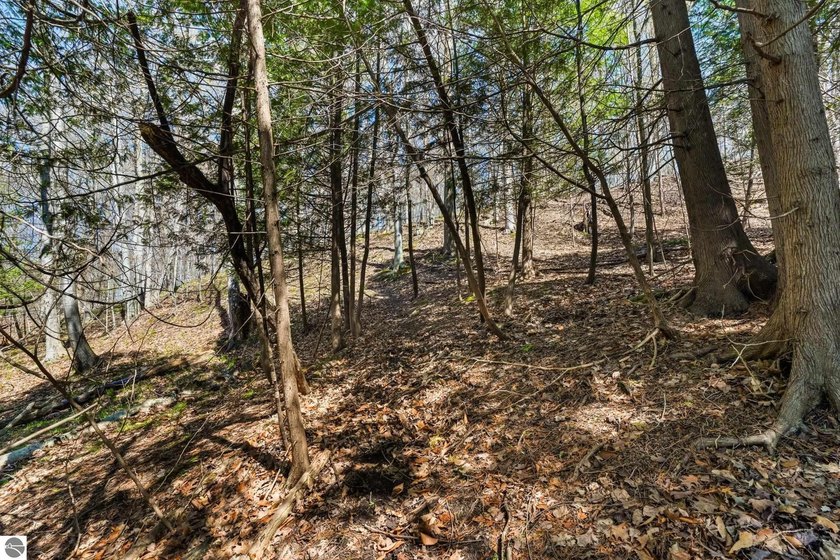 Among the trees just minutes from downtown Boyne City and the - photo 9