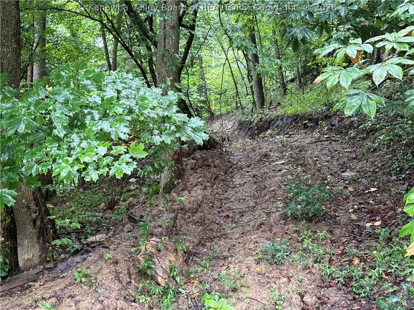 Nice hunting property located less than 5 miles from Mud River - photo 11
