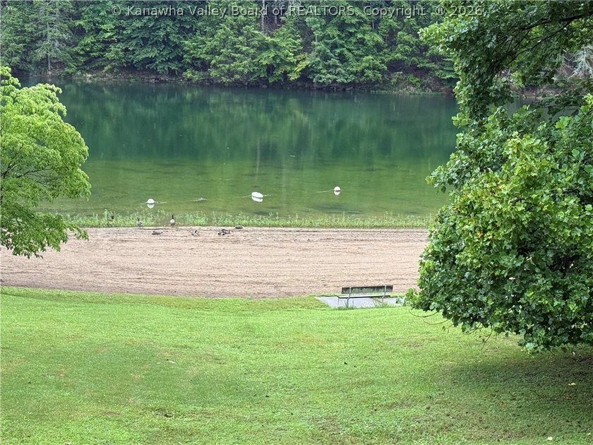 Nice hunting property located less than 5 miles from Mud River - photo 18