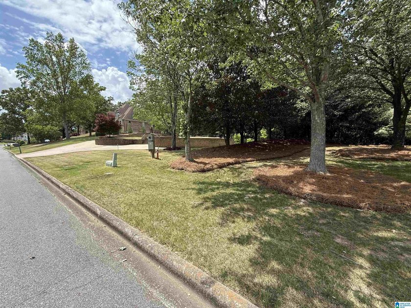 Build your Dream Home on this beautiful lot situated in one of - photo 4