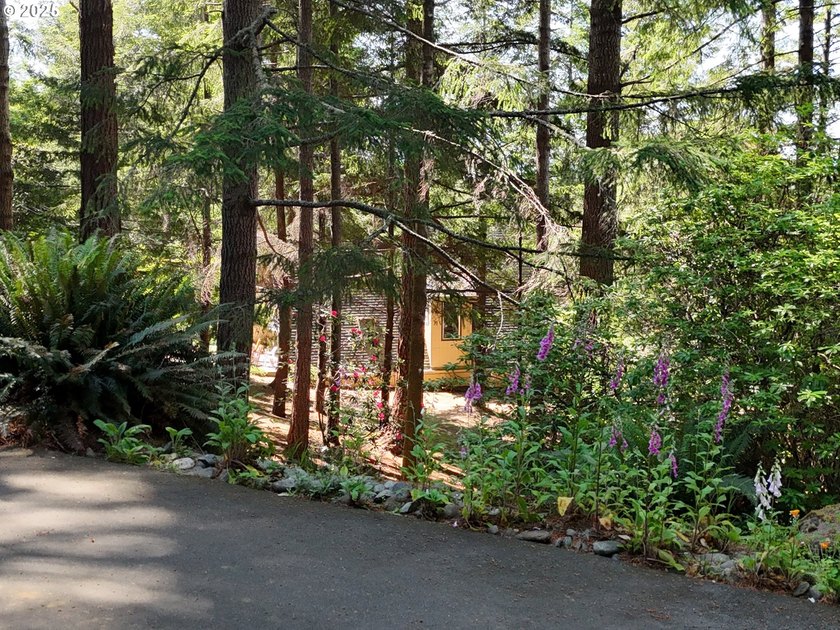 Welcome to this private oasis surrounded by magnificent trees - photo 11