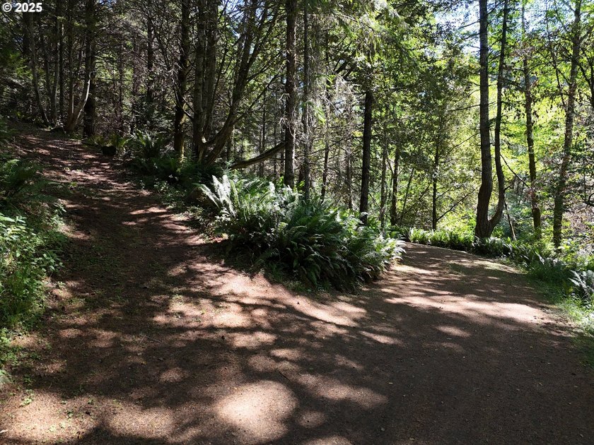 Welcome to this private oasis surrounded by magnificent trees - photo 45