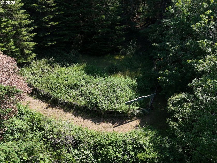 Welcome to this private oasis surrounded by magnificent trees - photo 46