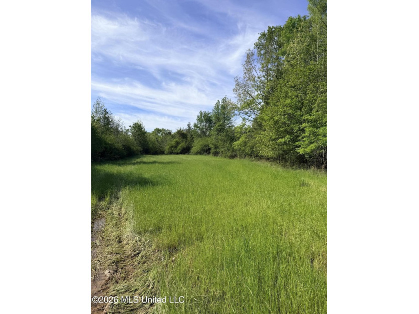 Discover the peace, privacy, and endless potential of this - photo 2