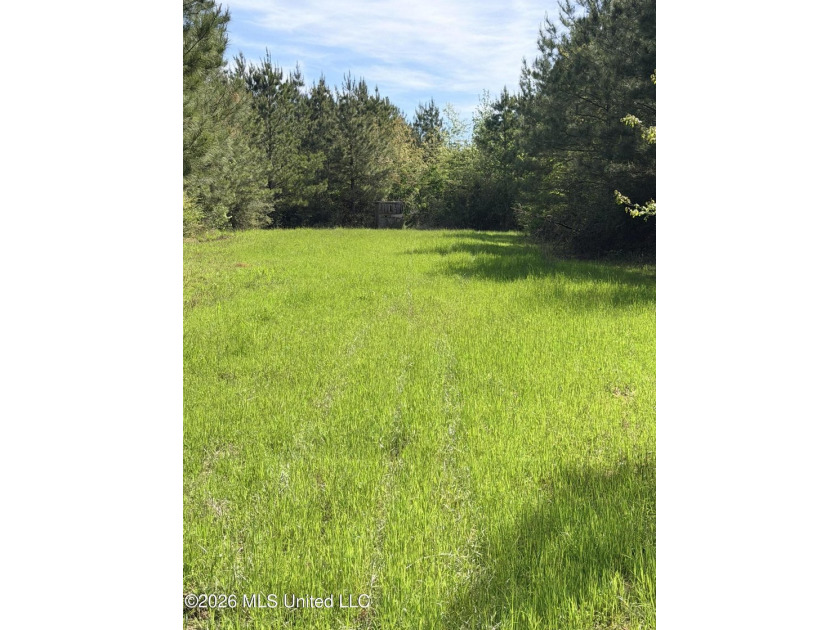 Discover the peace, privacy, and endless potential of this - photo 3