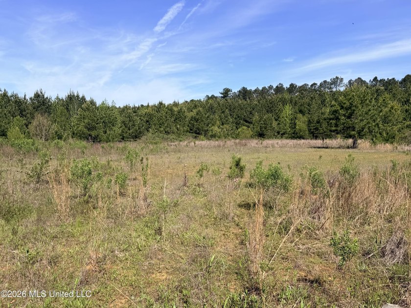Discover the peace, privacy, and endless potential of this - photo 4