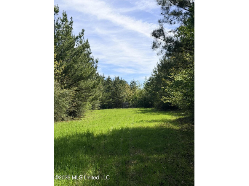 Discover the peace, privacy, and endless potential of this - photo 9