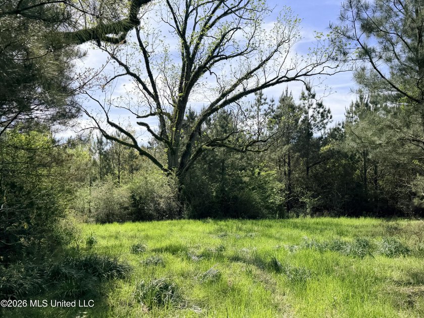 Discover the peace, privacy, and endless potential of this - photo 10
