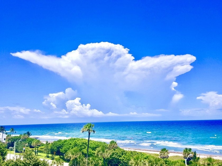 A PERFECT COMBINATION TO SOOTHE YOUR SOUL: IDYLLIC DESIGNER - photo 57