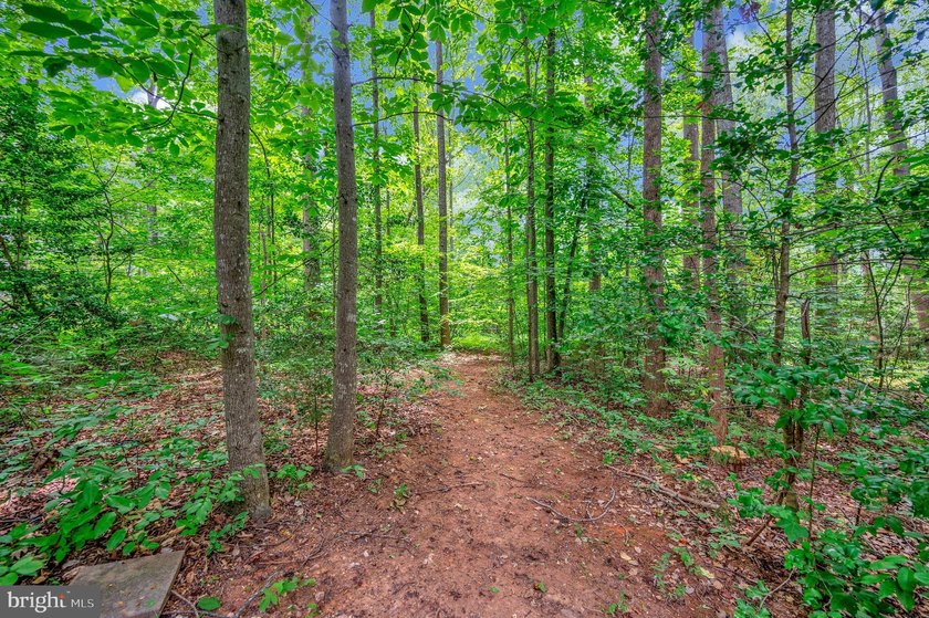 Welcome to 106 Cloverhill! This beautiful home is located on a - photo 39