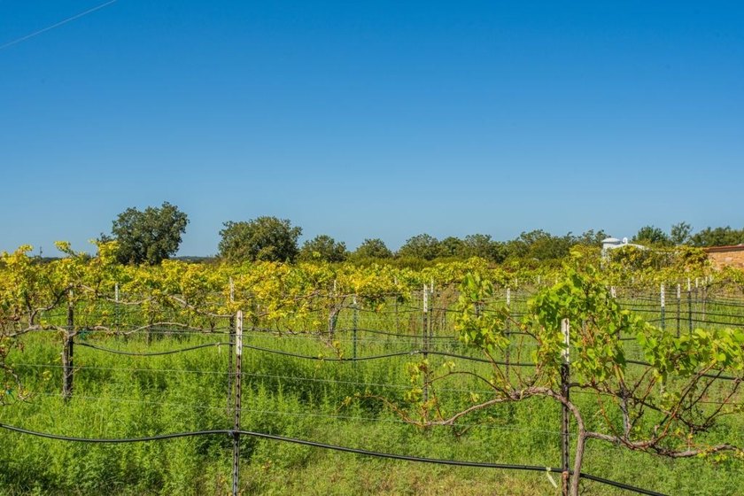 In the heart of the Texas Hill Country Wine Trail, this - photo 18
