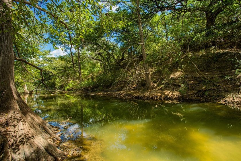 In the heart of the Texas Hill Country Wine Trail, this - photo 49
