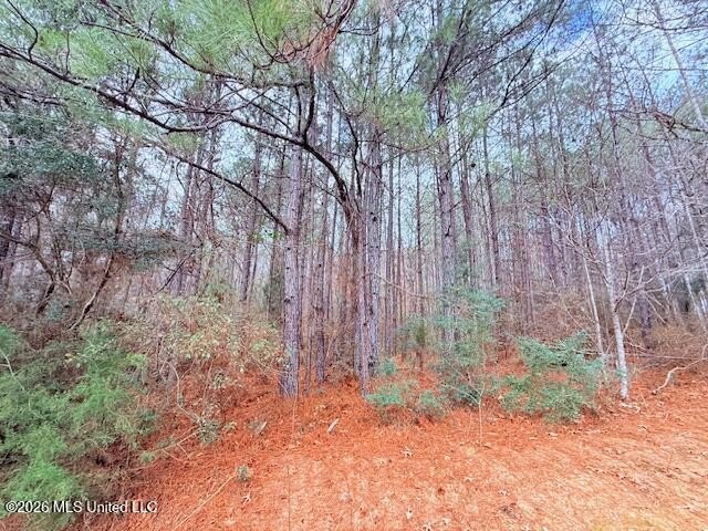 42 Acres of wooded creek front property located on Busy Corner - photo 4
