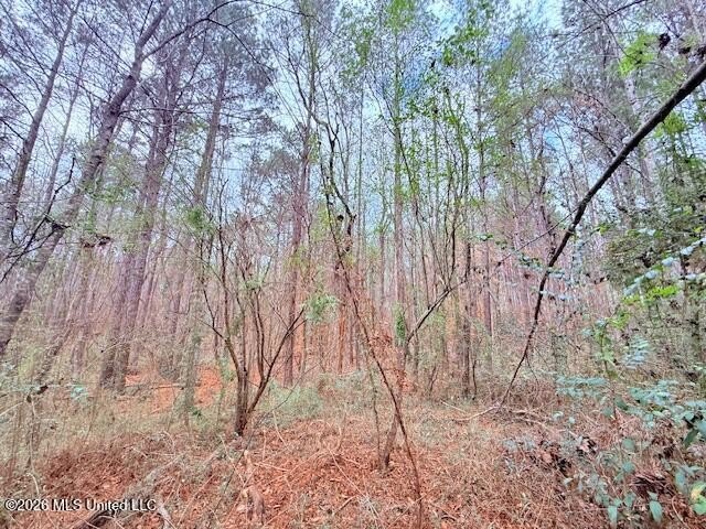 42 Acres of wooded creek front property located on Busy Corner - photo 9