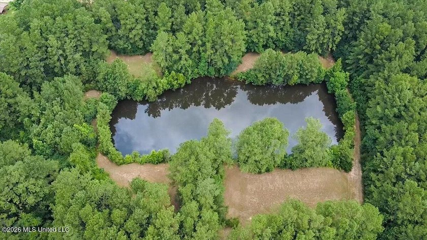 Welcome to Nola Pines! This unique property is tucked away on - photo 36