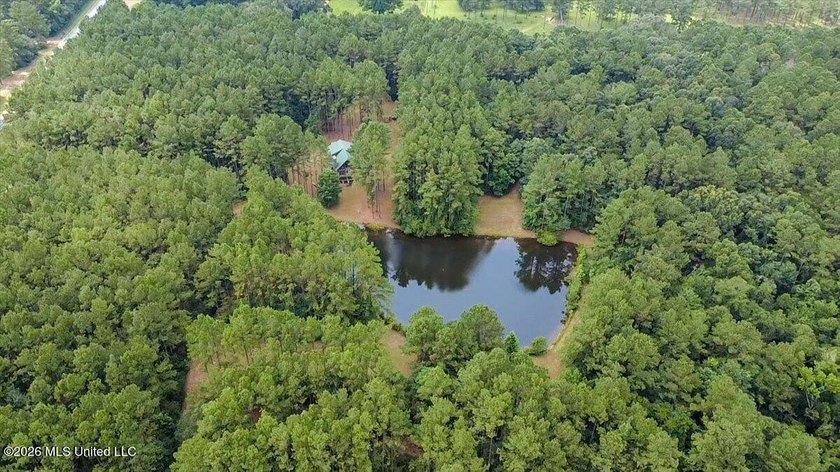 Welcome to Nola Pines! This unique property is tucked away on - photo 37