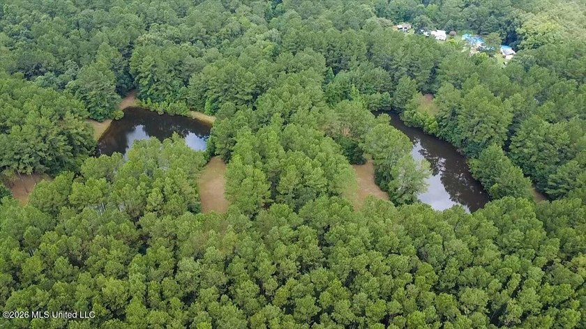 Welcome to Nola Pines! This unique property is tucked away on - photo 39