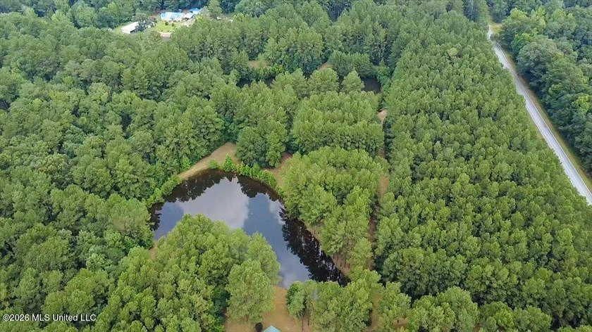 Welcome to Nola Pines! This unique property is tucked away on - photo 41