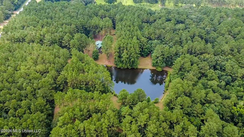 Welcome to Nola Pines! This unique property is tucked away on - photo 45