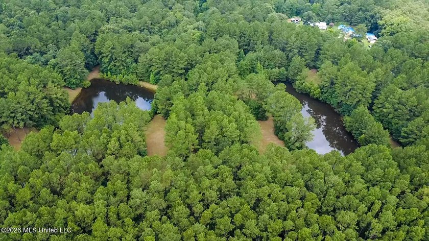 Welcome to Nola Pines! This unique property is tucked away on - photo 49
