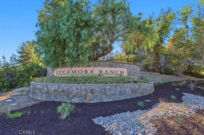 3927 Limber Pine - photo 6