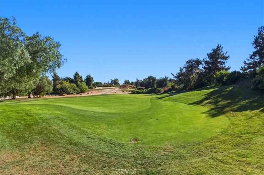 3927 Limber Pine - photo 8